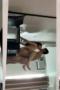 Janella-Skandal-Bersama-Pacarnya-Bercumbu-Santuy-170x255