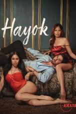 hayok-2026-8c87